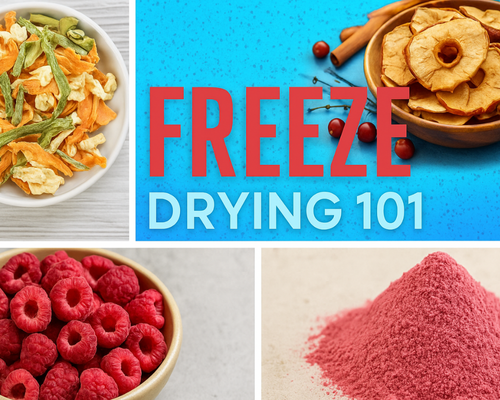 Freeze Drying For Beginners
