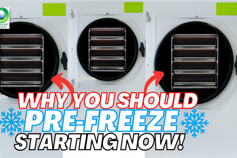 Why You Should Pre-Freeze