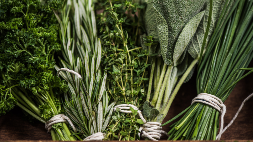 Freeze Drying Fresh Herbs: A Quick Reference Guide – Freeze Drying Cookbook