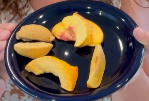 Freeze Dried Canned Peaches