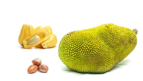 Jackfruit-Seeds and Pods